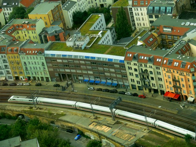 Grass on the Roofs???